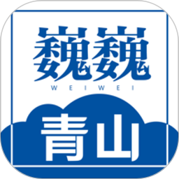 视频助理裁判的影响